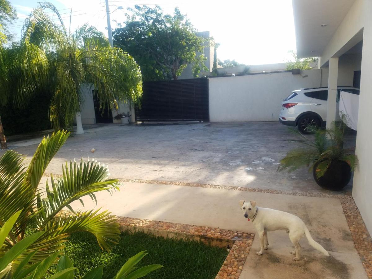 Casa Xcanatun メリダ エクステリア 写真