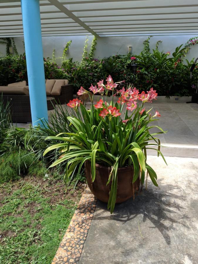Casa Xcanatun メリダ エクステリア 写真
